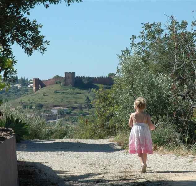 Quinta Canine l Authentic quinta with a large garden and stunning views