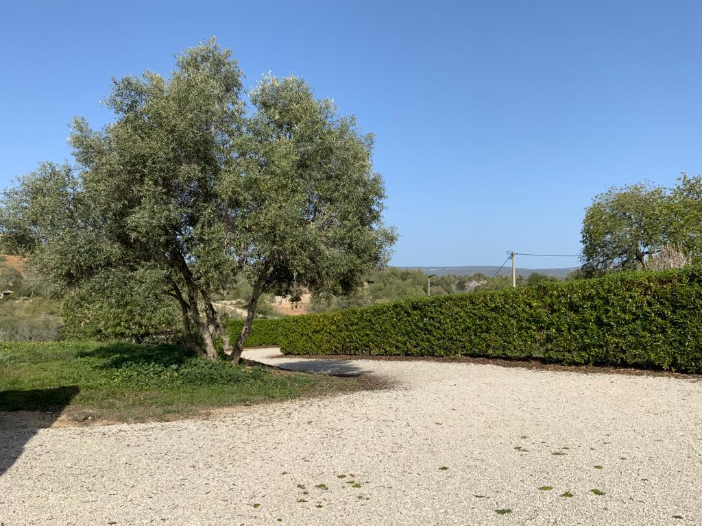 Villa do Auro l Sunny terrace with a large pool and beautiful views
