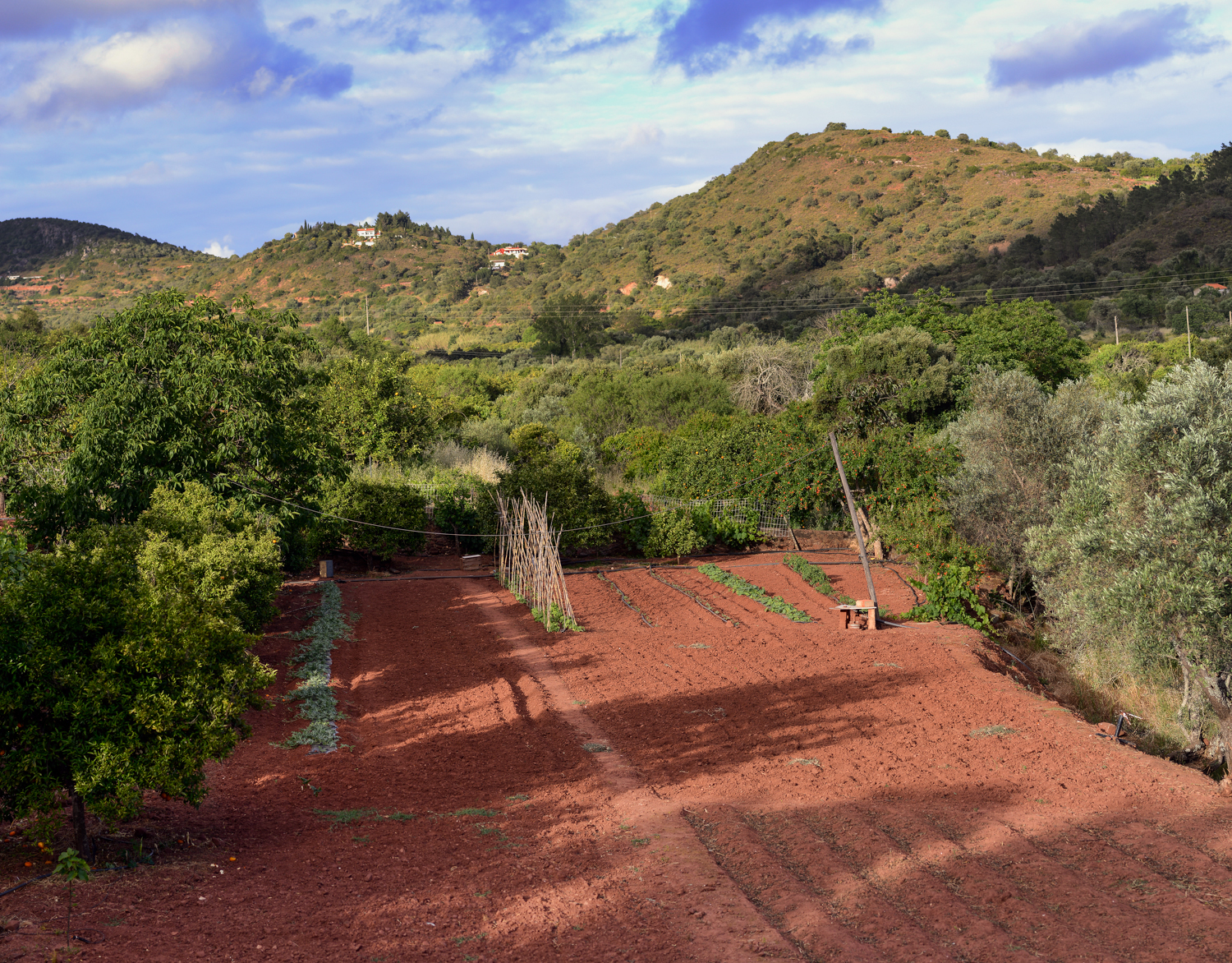 Quinta Pedra | Authentic and atmospherically furnished villa surrounded by greenery